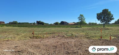 /international/fr/bouglon-aquitaine-310103176902/