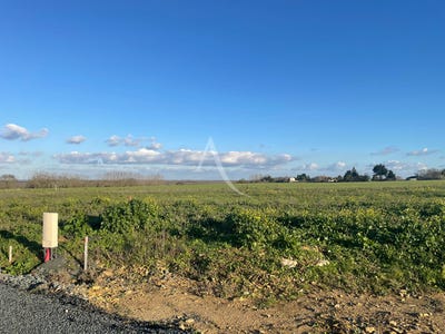/international/fr/chaille-les-marais-pays-de-la-loire-310104463440/