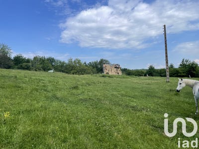 /international/fr/lescure-d-albigeois-midi-pyrenees-310105338521/
