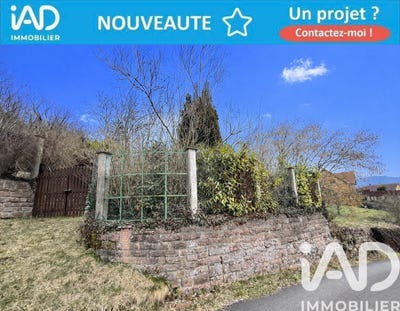 /international/fr/liepvre-alsace-310105816750/