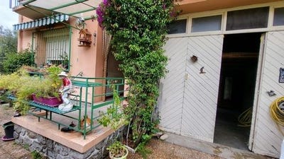 /international/fr/ceret-languedoc-roussillon-310107863640/