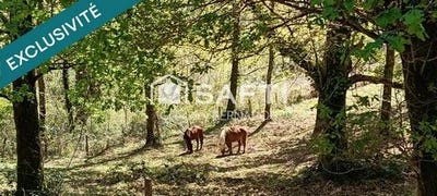 /international/fr/ustaritz-aquitaine-310098977026/