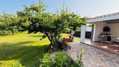 /international/fr/l-ile-d-yeu-pays-de-la-loire-310109151653/