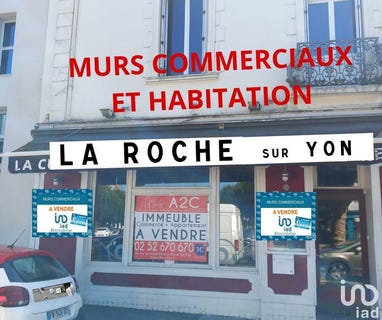 /international/fr/la-roche-sur-yon-pays-de-la-loire-310102483585/