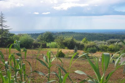 /international/fr/vence-provence-alpes-cote-d-azur-310100938147/