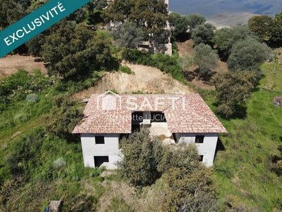 /international/fr/sollacaro-corsica-310107707115/