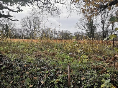 /international/fr/challans-pays-de-la-loire-120096051032/