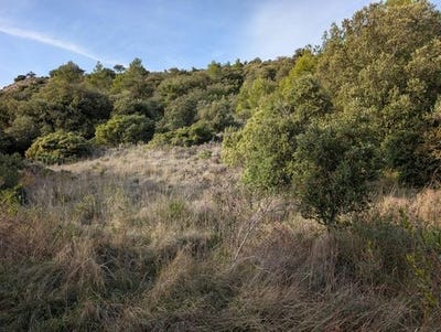 /international/fr/rieux-en-val-languedoc-roussillon-310104838245/