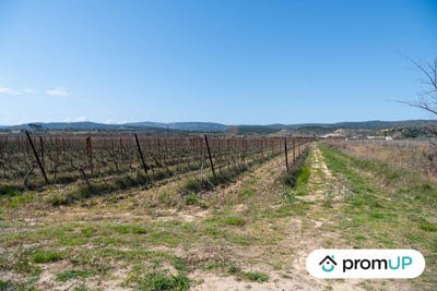 /international/fr/peyriac-de-mer-languedoc-roussillon-310103177479/