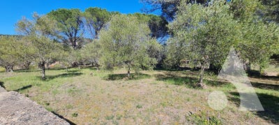 /international/fr/salernes-provence-alpes-cote-d-azur-310108138009/