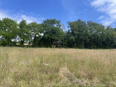 /international/fr/kuttolsheim-alsace-310108843178/