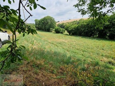 /international/fr/vabre-midi-pyrenees-310101384367/