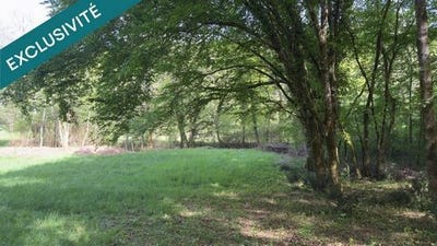 /international/fr/les-eyzies-de-tayac-sireuil-aquitaine-310108405150/