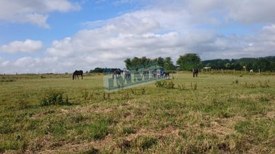 /international/fr/saint-pol-sur-ternoise-calais-310105998896/