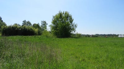 /international/fr/mittainville-ile-de-france-120078398372/