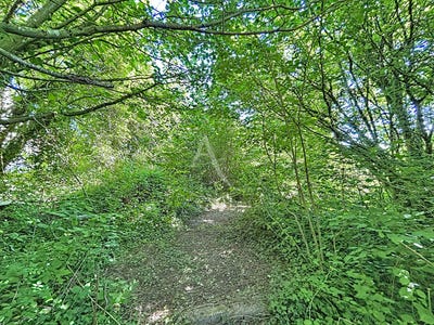 /international/fr/rubelles-ile-de-france-310108920973/