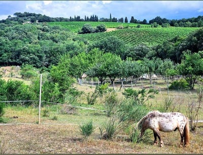 /international/fr/alairac-languedoc-roussillon-310100649941/