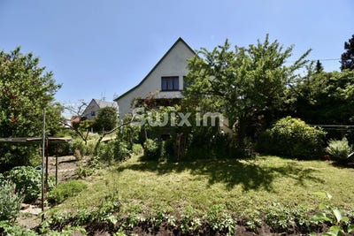 /international/fr/haguenau-alsace-310108525934/