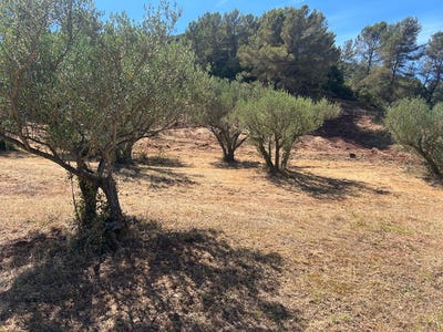 /international/fr/gonfaron-provence-alpes-cote-d-azur-310120520505/