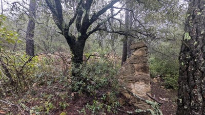 /international/fr/cotignac-provence-alpes-cote-d-azur-310101084274/