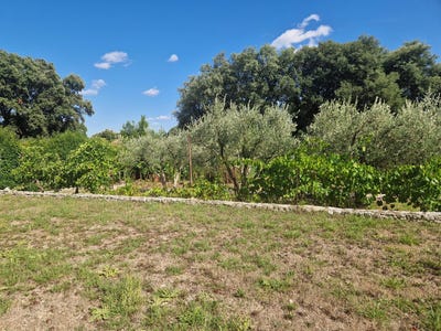 /international/fr/asperes-languedoc-roussillon-310101445358/?lang=de