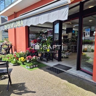 /international/fr/saint-martin-des-champs-brittany-310101377186/