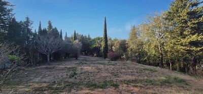 /international/fr/carcassonne-languedoc-roussillon-310105761795/