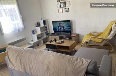 /international/fr/carcassonne-languedoc-roussillon-310106416858/