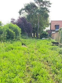 /international/fr/avrechy-picardie-310108972156/