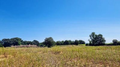 /international/fr/savenes-midi-pyrenees-310106292919/