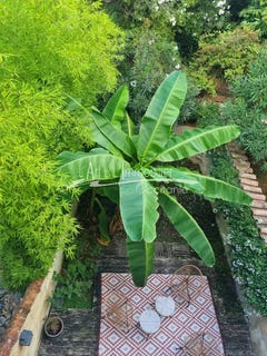 /international/fr/bordeaux-ile-de-france-310102590560/
