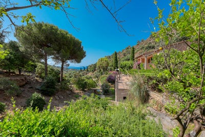 /international/fr/le-lavandou-provence-alpes-cote-d-azur-310100537874/