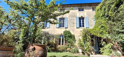 /international/fr/saint-paul-trois-chateaux-rhone-310107951265/