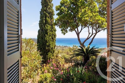 /international/fr/zonza-corsica-310108482658/