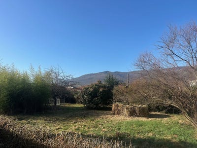 /international/fr/montgaillard-midi-pyrenees-310108083975/