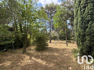 /international/fr/saint-laurent-des-arbres-languedoc-roussillon-310101033899/