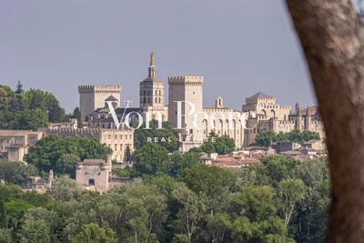 /international/fr/villeneuve-les-avignon-languedoc-roussillon-310104233384/