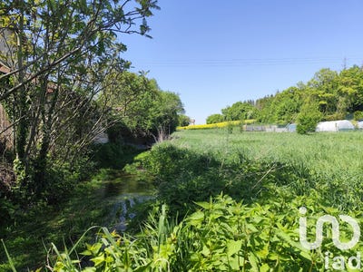 /international/fr/mailly-le-camp-ardennes-310104278636/