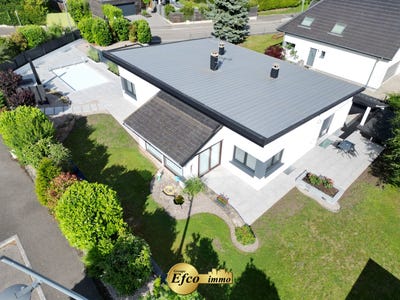 /international/fr/niffer-alsace-310107887485/