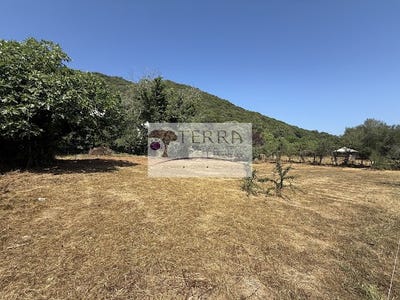 /international/fr/serra-di-fiumorbo-corsica-310101106586/