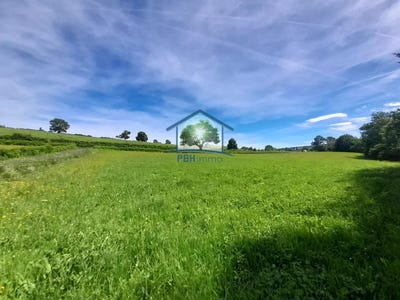/international/fr/tauves-auvergne-120093546854/