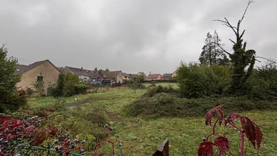 /international/fr/lutzelhouse-alsace-310105824534/