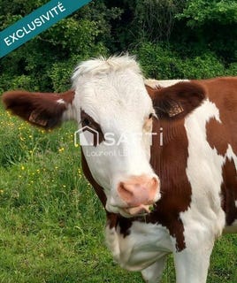 /international/fr/luxeuil-les-bains-franche-comte-310108114420/