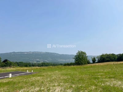 /international/fr/belley-lorraine-310100112659/