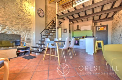 /international/fr/ceret-languedoc-roussillon-310106780793/