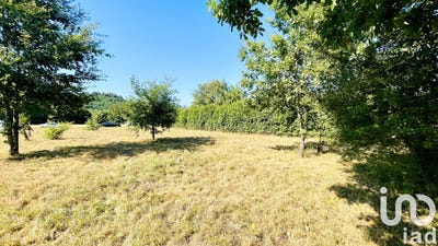/international/fr/saint-martory-midi-pyrenees-310101468132/