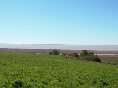 /international/fr/chenac-saint-seurin-d-uzet-charente-310098340505/