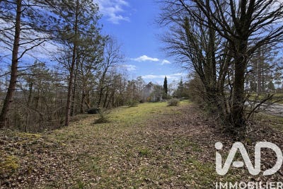 /international/fr/noailles-rhone-310106823908/
