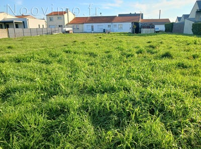 /international/fr/ancenis-saint-gereon-pays-de-la-loire-310098801638/