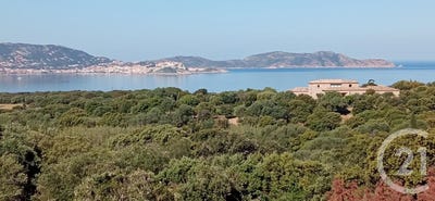 /international/fr/lumio-corsica-310110159067/